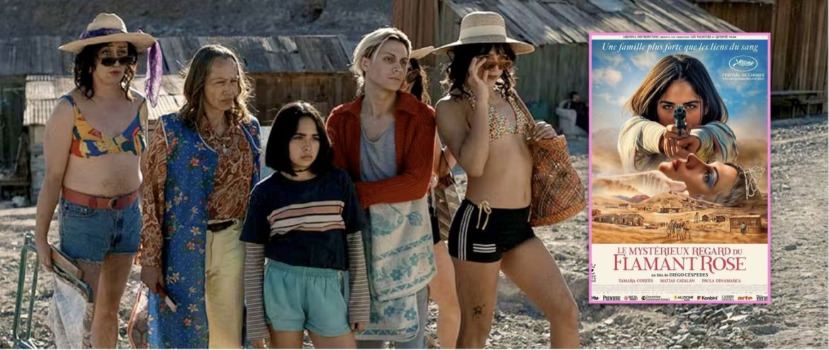 "Le Mystérieux regard du flamant rose" : La peur de la différence et la force de l’altérité !