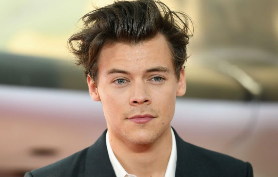 Harry Styles a eu une ÉNORME érection pendant un de ses concerts