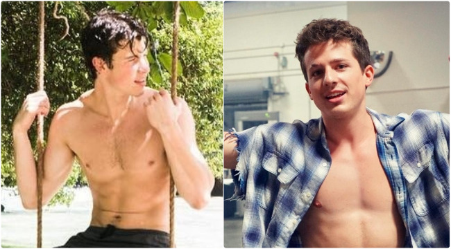 Shawn Mendes: Je ne sextote pas avec Charlie Puth. Il m'a envoyé une photo une fois